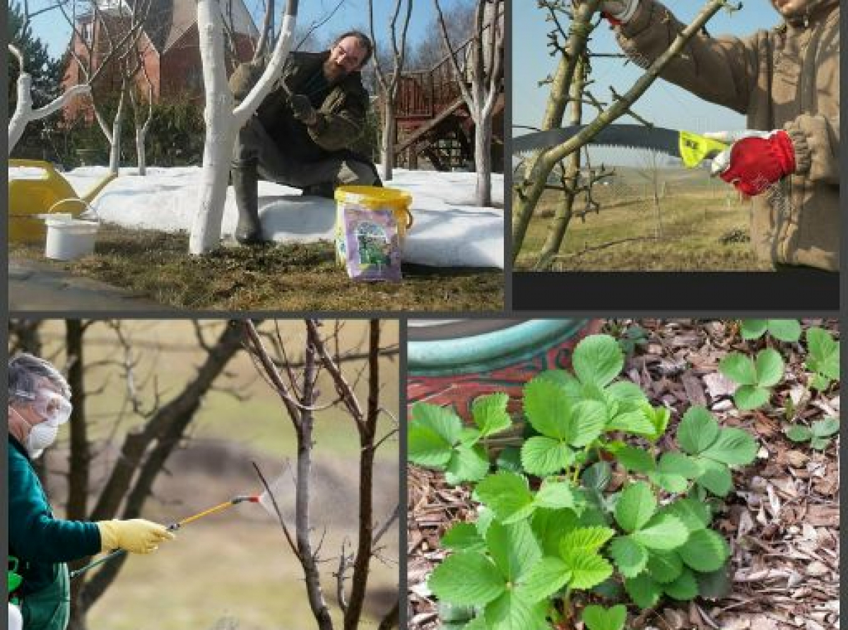 Фото предоставлено автором